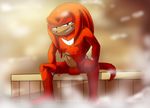 2016 absurd_res anthro balls echidna erection grin hi_res knuckles_the_echidna male mammal monotreme nude penis skyeprower smile solo sonic_(series) 