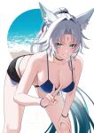  1girl alternate_costume animal_ear_fluff animal_ears bechu bikini blue_bikini breasts eyeliner feixiao_(honkai:_star_rail) forehead_jewel fox_ears fox_girl highres honkai:_star_rail honkai_(series) makeup parted_bangs red_eyeliner solo swimsuit v 