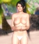  3d beach bikini breasts dead_or_alive dead_or_alive_5 female high_resolution highres momiji_(ninja_gaiden) nature nipples plant solo swimsuit topless 