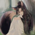  1boy ahoge animal_ears bishounen black_hair black_hanfu blanket blurry brown_hair chinese_clothes closed_mouth depth_of_field eyelashes fang fang_out forest fox_boy fox_ears fox_tail grass hair_between_eyes hair_ribbon hanfu highres holding holding_blanket implied_yaoi kemonomimi_mode long_hair long_sleeves looking_at_viewer male_focus modao_zushi nature ojisan_rbt outdoors ponytail purple_eyes red_ribbon ribbon robe sidelocks sitting smile solo tail tree watermark wei_wuxian wide_sleeves 