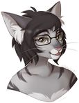  eyewear feline female glasses mammal portrait solo 