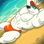 1:1 2024 abs anthro arnold_the_pit_bull beach bent_legs black_nose bulge canid canine canis clothing digital_drawing_(artwork) digital_media_(artwork) domestic_dog fabfelipe fur hands_behind_head hat headgear headwear hi_res lying male mammal mouth_closed muscular muscular_anthro muscular_male navel nipples on_back orange_clothing orange_hat orange_headwear orange_speedo orange_swimwear pecs pinup pit_bull pose sand snout solo speedo swimwear tail tiny_toon_adventures warner_brothers water wearing_eyewear wearing_hat white_body white_fur