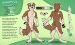 animal_genitalia anthro balls border_collie brown_body brown_fur brown_nose brown_pawpads brown_tail canid canine canis collie domestic_dog english_text erection front_view fur genitals green_eyes green_penis hair hand_on_hip herding_dog hi_res knot looking_at_viewer male male_anthro mammal model_sheet mouth_closed nude open_mouth pastoral_dog pawpads penis penis_tip rear_view sheath sheepdog short_hair solo standing tail text white_balls white_body white_fur white_hair white_sheath white_tail yookie