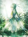  backlighting bow commentary domik dress fantasy feathers from_behind grass lens_flare light light_particles long_hair looking_at_viewer looking_back original pale_skin plant pond skirt_hold solo wading white_dress white_hair wings yellow_eyes 