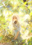  1girl angel bird black_ribbon blue_eyes blue_flower blue_skirt closed_mouth commentary feet_out_of_frame flower halo highres holding holding_plant long_hair neck_ribbon original outdoors plant ribbon scenery see-through_clothes see-through_veil shirt short_sleeves signature skirt solo standing sumi_0525 symbol-only_commentary traditional_halo tree vegetation veil white_flower white_hair white_shirt white_veil 
