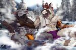 3:2 abs anthro bulge canid canine canis clothing cybernetic_arm cybernetic_leg cybernetic_limb duo hot_tub jeykob_hallow looking_at_another male male/male mammal muscular muscular_anthro muscular_male pize procyonid raccoon underwear wet winter wolf