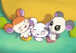 2025 absurd_res animal_genitalia animal_penis anthro bijou_(hamtaro) biped black_body blush bodily_fluids cricetid cum cum_on_face cumshot double_handjob ejaculation erection female genital_fluids genitals group group_sex hair hamster hamtaro hamtaro_(series) hand_on_head handjob hi_res high-angle_view male male/female mammal minum multicolored_body nude open_mouth open_smile orange_body panda_(hamtaro) penile penis pigtails pink_nose rodent round_ears sex short_hair smile threesome trio two_tone_body whiskers white_body white_hair