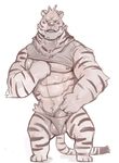  anthro balls clothing feline iceman1984 male mammal muscle_shirt muscular penis sketch solo thong tiger underwear 