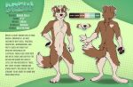 anthro border_collie brown_body brown_fur brown_nose brown_pawpads brown_tail canid canine canis collie domestic_dog english_text featureless_crotch front_view fur green_eyes hair hand_on_hip herding_dog hi_res looking_at_viewer male male_anthro mammal model_sheet mouth_closed nude open_mouth pastoral_dog pawpads rear_view sheepdog short_hair solo standing tail text white_body white_fur white_hair white_tail yookie