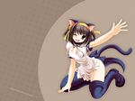  animal_ears cat_ears catgirl highres namamo_nanase suzumiya_haruhi suzumiya_haruhi_no_yuuutsu 
