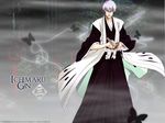  bleach ichimaru_gin tagme 