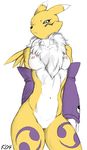  2004 anthro black_sclera blue_eyes breasts canine chest_tuft clothing color_edit colored digimon edit elbow_gloves facial_markings female fox front_view fur gloves haughty hi_res karabiner looking_at_viewer mammal markings mostly_nude muscular navel nipples pussy renamon simple_background sketch solo standing tuft white_background yellow_fur 