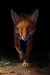  2016 ambiguous_gender canine eosfoxx feral fox mammal solo 