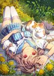  2016 animal artist_name blue_sailor_collar blue_skirt blush braid breasts brown_hair cat closed_eyes collarbone day english flower flower_bracelet frilled_sleeves frills hand_on_own_stomach kinchee long_hair looking_at_viewer lying medium_breasts on_back on_side on_stomach original outdoors pinky_out red_eyes sailor_collar shirt short_sleeves skirt striped striped_legwear striped_shirt striped_skirt thighhighs twin_braids watermark white_legwear zettai_ryouiki 