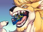  anthro anthro_on_anthro bdsm black_nose black_pawpads blonde_hair blue_body blue_eyes blue_fur bodily_fluids bondage bound butt canid canine claws duo facial_hair finger_claws fur glistening glistening_eyes goatee gradient_background green_body green_eyes green_fur hair hi_res in_mouth inside_mouth kangaroo lying macropod male male/male mammal marsupial nude on_front oral_vore pawpads restraints rope rope_bondage saliva saliva_on_face saliva_on_tongue short_hair simple_background solaxe solaxe_(artist) tan_body tan_fur vore vulcan_river_wolf white_body white_claws white_fur yellow_body yellow_fur 