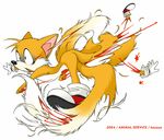  blood canine death dismemberment fox gore haison male mammal miles_prower sonic_(series) 