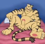  anso/rez anthro balls bed belly biceps butt claws digital_media_(artwork) dizzy_tiger drunk erection feline fur hi_res hindpaw long_tail looking_at_viewer lying male mammal musclegut muscular nude on_back on_bed open_mouth pawpads paws pecs penis pillow precum sitting slightly_chubby smile solo spreading stripes teeth tiger toes tuft yu-gi-oh 
