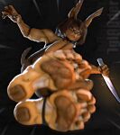 3d_(artwork) 3d_animation 5_toes absurd_res animated anthro attacking_viewer canid canine canis clothing digital_media_(artwork) dobermann dog_knight_rpg domestic_dog dropkick feet female first_person_view foot_focus footwear hi_res iglooder mammal muscular muscular_female pawpads pinscher rory_(ceehaz) simple_background socks soles solo stirrup_socks toes