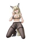  1girl absurdres alter_kamerade animal_ear_fluff animal_ears arknights bare_arms bare_shoulders black_bra black_pantyhose black_shoes blonde_hair blush bra breasts chinese_commentary cleavage commentary_request fellatio_gesture full_body hair_between_eyes hair_intakes hand_up high_heels highres kneeling lace lace_bra large_breasts long_hair looking_at_viewer multicolored_hair nipples open_mouth pantyhose partial_commentary saliva saliva_drip scar scar_on_cheek scar_on_face shoes simple_background solo streaked_hair tail tongue tongue_out underwear variant_set vulpisfoglia_(arknights) white_background white_hair yellow_eyes yellow_tail 