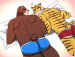  2016 abs anthro bear bearlovestiger13 biceps blue_boxer boxer_briefs bulge butt clothed clothing duo embarrassing feline fur furgonomics half_naked hi_res juuichi_mikazuki love male male/male mammal morenatsu muscular pillow red_boxer romantic_couple smile tail_clothing tiger topless torahiko_(morenatsu) underwear warm 