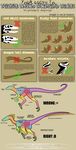  2010 ambiguous_gender anatomy claws dinosaur english_text feathers freakzter how-to raptor simple_background skull teeth text theropod 
