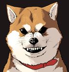  animal animal_focus black_background black_eyes brown_fur collar dog dog_collar face fur looking_at_viewer lowres no_humans open_mouth portrait sharp_teeth shiba_inu simple_background teeth troll_face whiskers 