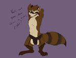  anthro clothed clothing crossdressing dialogue english_text flaccid flat_colors fluffy fluffy_tail garter garter_belt garter_straps guardians_of_the_galaxy hands_behind_head humanoid_penis looking_at_viewer male mammal marvel open_mouth penis penis_outline pinup pose raccoon raised_arm rocket_raccoon skunkjunkie solo talking_to_viewer text thong topless 