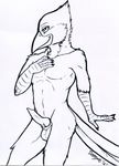  2016 anthro avian balls beak bird black_and_white deezmo feathers hi_res looking_at_viewer male monochrome nude penis pinup pose presenting solo superb_fairy_wren tallow_(character) wren 