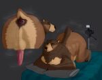 2025 5_fingers 5_toes absurd_res all_fours anatomically_correct anatomically_correct_genitalia anatomically_correct_penis animal_genitalia animal_penis anthro anus anus_focus arm_markings aroused ass_up backsack balls bear bear_ears bed bed_sheet bedding belly big_anus big_balls big_butt big_penis biped brown_arms brown_bear brown_body brown_claws brown_ears brown_feet brown_fur brown_hands brown_legs brown_mane brown_paws brown_tail butt butt_focus butt_musk camera cheek_markings claws digital_camera digital_drawing_(artwork) digital_media_(artwork) dirty_anus erection eyebrows facial_markings feces feces_on_anus feet finger_claws fingers fluffy fluffy_tail fur fur_markings furniture genitals grizzly_bear hair handpaw hazed01 head_markings hi_res inside inviting kuruk_(character) long_penis looking_at_viewer looking_back looking_back_at_viewer lying male male_anthro mammal mane mane_hair markings mattress monochrome monotone_balls monotone_feet monotone_genitals monotone_hands monotone_inner_ear monotone_markings multicolored_body multicolored_ears multicolored_fur multicolored_penis musk musky_anus musky_ass musky_balls musky_body musky_butt musky_penis muzzle_(marking) nude on_bed on_front on_pillow orange_eyes paws penis perineum pillow pink_penis plantigrade presenting presenting_anus presenting_balls presenting_hindquarters purple_anus raised_tail rear_view recording recording_device recording_devices red_anus red_penis scatplay shaded short_ears short_fur short_tail simple_background sketch slightly_chubby slightly_chubby_anthro slightly_chubby_male small_ears small_tail snout snout_markings solo staring_at_camera tail tan_balls tan_belly tan_body tan_ears tan_fur tan_markings tan_tail thick_penis thick_thighs third-party_edit three-quarter_view toe_claws toes tongue tongue_out two_tone_anus two_tone_body two_tone_ears two_tone_fur two_tone_penis two_tone_tail ursidae ursine ursine_ears ursine_genitalia ursine_penis vein veiny_penis video_camera wide_hips
