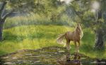  2014 ambiguous_gender cream_fur detailed_background digital_media_(artwork) digital_painting_(artwork) equine feathering feral forest fur grass horse lake looking_at_viewer mammal mane quadruped reflection rufciu signature solo tree 