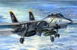  aircraft airplane drop_tank f-14_tomcat fighter_jet jet jolly_roger koizumi_kazuaki_production landing landing_gear laser_guided_bomb military military_vehicle multiple_boys ocean skull_and_crossbones us_navy 