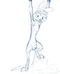  animal_genitalia arched_eyebrow balls daxter digital_drawing_(artwork) digital_media_(artwork) digitigrade front_view fully_sheathed jak_and_daxter looking_at_viewer male mammal monochrome mustelid nude ottsel raised_arm sheath sketch solo stare step_pose weaselgrease 