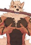 2025 anthro arcanine armpit_tuft brown_eyes chest_tuft fluffy fur fur_markings generation_1_pokemon hi_res looking_away male markings multicolored_body multicolored_fur muscular muscular_anthro muscular_male nintendo orange_body orange_fur pokemon pokemon_(species) simple_background solo sreyel stick stick_in_mouth tail tuft two_tone_body two_tone_fur white_background