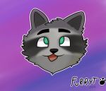  2019 furryt_paw gey_fur green_eyes male mammal procyonid raccoon 