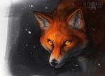  2016 ambiguous_gender canine feral fox mammal orange_eyes rotarr solo 
