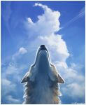 2026 anthro backlighting black_nose blue_sky brown_body brown_fur canid canine canis clip_studio_paint_(artwork) cloud cloudy_sky contrail cool_colors countershading detailed detailed_fur digital_media_(artwork) ears_back fur hi_res inner_ear_fluff kounalix light lighting looking_up low-angle_view male mammal neck_tuft pivoted_ears sky skyscape smile solo tuft whiskers white_body white_fur wolf