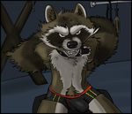  angry bdsm bondage bound boxer_briefs bulge clothing collar guardians_of_the_galaxy leaking marvel midnite paddle precum rack rocket_raccoon rope snarling teeth underwear whip 