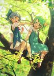  blue_dress blue_eyes blue_hair cirno daiyousei dress fairy_wings full_body green_eyes green_hair hair_ribbon highres ice ice_wings in_tree irigoma_(jikabi_baisen) loafers looking_at_another looking_away mary_janes multiple_girls open_mouth outstretched_arm pointy_ears ribbon shoes short_sleeves side_ponytail sitting smile socks touhou tree tree_shade white_legwear wings 