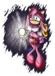  amy_rose belt big_breasts blue-paint-sea bracelet breasts clothing female flashlight footwear green_eyes hair high_heels jewelry long_hair looking_at_viewer navel purse skirt skull solo sonic_(series) 