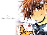  tagme tsubasa_reservoir_chronicle 