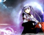  hoshino_ruri nadesico tagme 