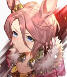  1girl absurdres animal_ears blue_eyes blush brown_hair collarbone commentary_request fur-trimmed_jacket fur_trim hair_between_eyes highres horse_ears horse_girl jacket narita_taishin_(nevertheless)_(umamusume) narita_taishin_(umamusume) parted_lips pink_jacket portrait shirt short_hair solo suzu_(suzuame329) tank_top umamusume yellow_shirt yellow_tank_top 