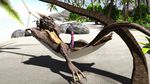  3d_(artwork) anthro claws detailed_background digital_media_(artwork) dragon erection hammock looking_at_viewer lying male millennium_dragon palm_tree penis relaxing sand scalie sea solo tagme tree water 