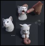  3d_(artwork) a_cat_is_fine_too ambiguous_gender balls bestiality digital_media_(artwork) disembodied_hand disembodied_penis domestic_cat duo felid feline felis fellatio feral fuzzyfelt hi_res human human_on_feral interspecies looking_at_viewer male male/ambiguous male_on_feral mammal open_mouth oral penis realistic sex signature simple_background solo_focus tongue tongue_out 