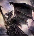  2016 chaos-draco dragon outside solo tagme wings 