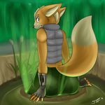  2016 anthro big_butt black_nose blue_eyes brown_fur butt canine clothed clothing dirt english_text fox fox_mccloud fur girokett gloves grass hi_res hole looking_at_viewer looking_back male mammal nintendo outside pants raised_tail rear_view signature solo star_fox stuck teeth text vest video_games 