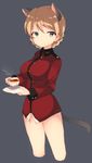  blonde_hair blue_eyes braids darjeeling girls_und_panzer pantless strike_witches tea teacup toyosu_toyosu 