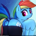  2016 anus butt clothing cutie_mark dock equine feathered_wings feathers female feral friendship_is_magic hair looking_back mammal multicolored_hair multicolored_tail my_little_pony neighday open_mouth pegasus puffy_anus rainbow_dash_(mlp) rainbow_hair rainbow_tail solo wings 