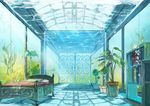  book bookshelf bubble gate lamp maddoze no_humans original plant room scenery seaweed sunlight underwater water window 