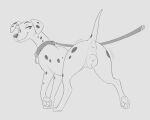 101_dalmatians 2026 5:4 anus butt canid canine canis collar digital_drawing_(artwork) digital_media_(artwork) disney domestic_dog feet female feral fur genitals halbean hi_res leash mammal paws perdita rear_view smile solo spots tail toes vulva